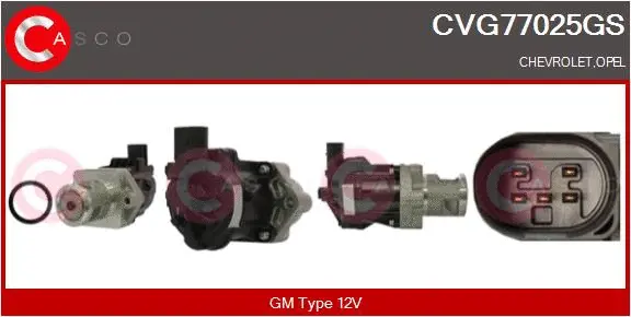 EGR Valve (CVG77025GS)
