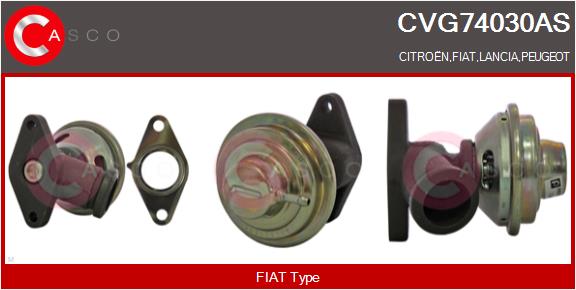 EGR Valve (CVG74030AS)