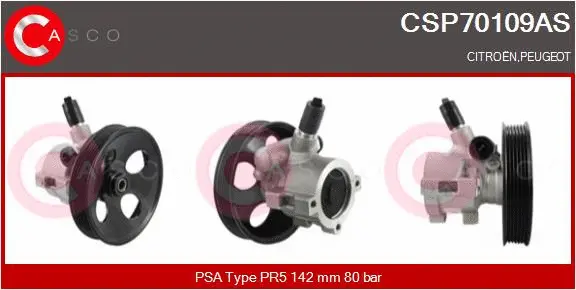 Hydraulic Pump, steering (CSP70109AS)