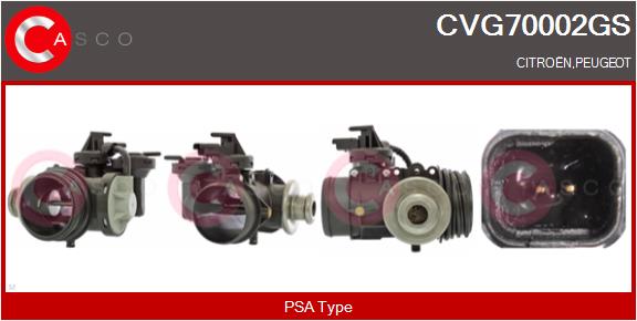 EGR Valve (CVG70002GS)