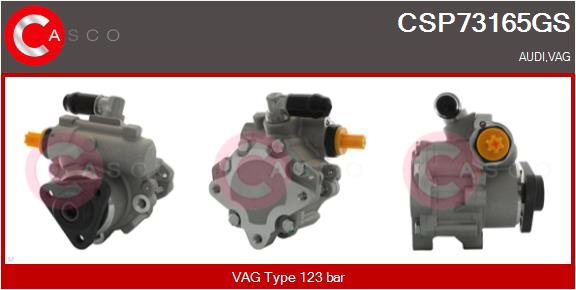 Hydraulic Pump, steering (CSP73165GS)