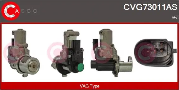 EGR Valve (CVG73011AS)