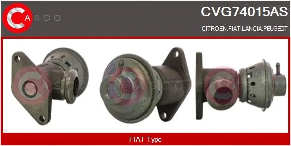EGR Valve (CVG74015AS)