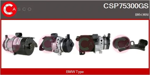 Hydraulic Pump, steering (CSP75300GS)