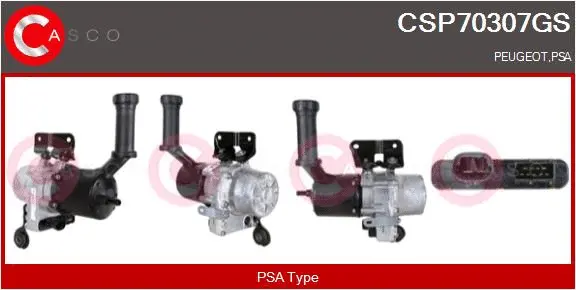 Hydraulic Pump, steering (CSP70307GS)