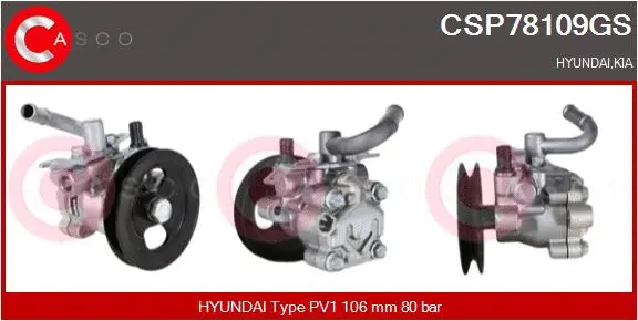 Hydraulic Pump, steering (CSP78109GS)