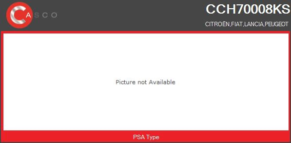 Core assembly, turbocharger (CCH70008KS)