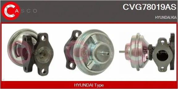 EGR Valve (CVG78019AS)