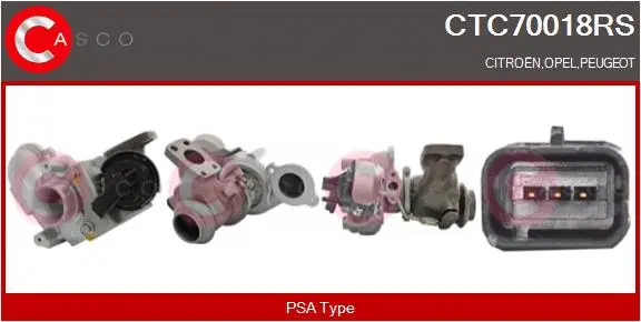 Charger, charging (supercharged/turbocharged) (CTC70018RS)