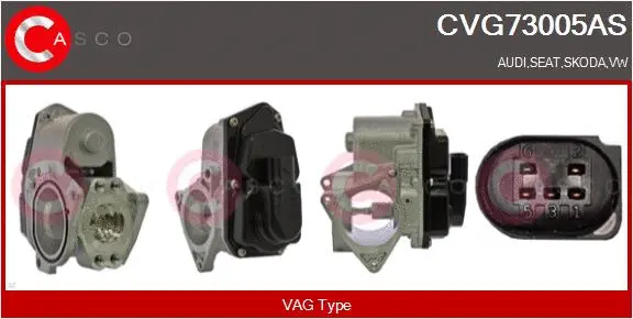 EGR Valve (CVG73005AS)