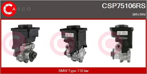 Hydraulic Pump, steering (CSP75106RS)