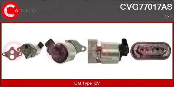 EGR Valve (CVG77017AS)