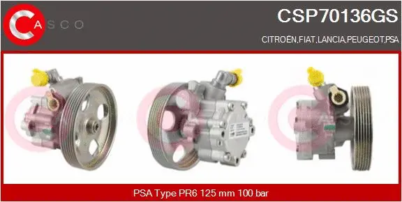 Hydraulic Pump, steering (CSP70136GS)
