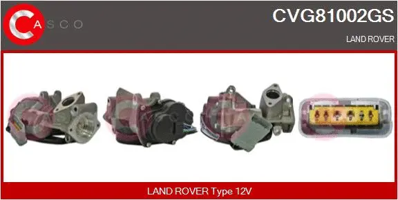 EGR Valve (CVG81002GS)