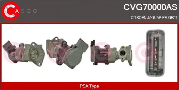 EGR Valve (CVG70000AS)