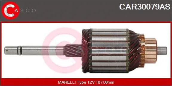 Armature, starter (CAR30079AS)