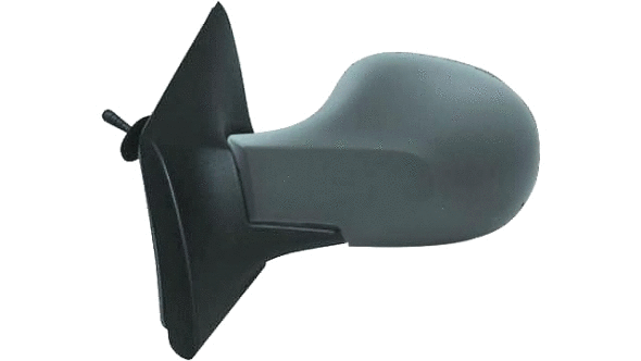 Exterior Mirror (24805371)