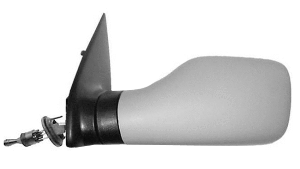 Exterior Mirror (24542552)
