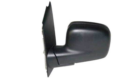 Exterior Mirror (21917231)