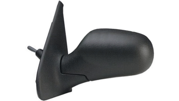 Exterior Mirror (24804231)