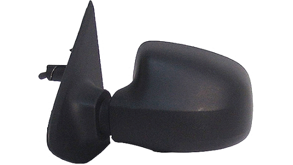 Exterior Mirror (24251013)