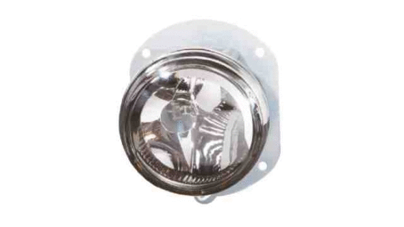 Front Fog Light (13502901)