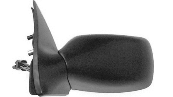 Exterior Mirror (24310314)