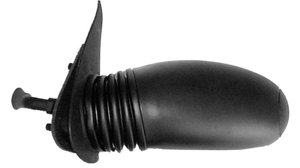 Exterior Mirror (24308511)