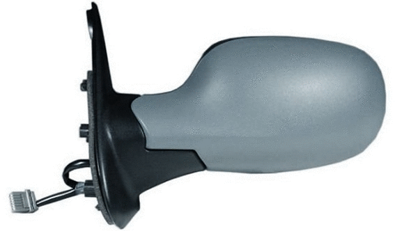 Exterior Mirror (27224101)