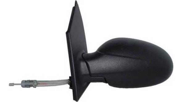 Exterior Mirror (24051011)