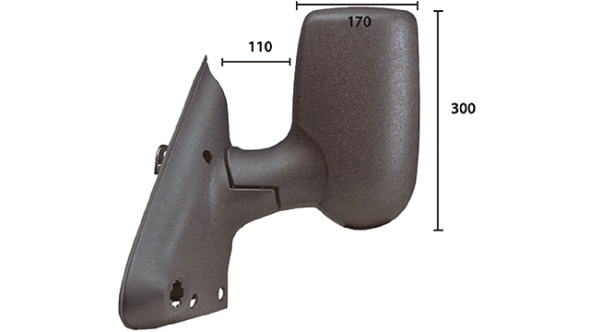 Exterior Mirror (21313312)