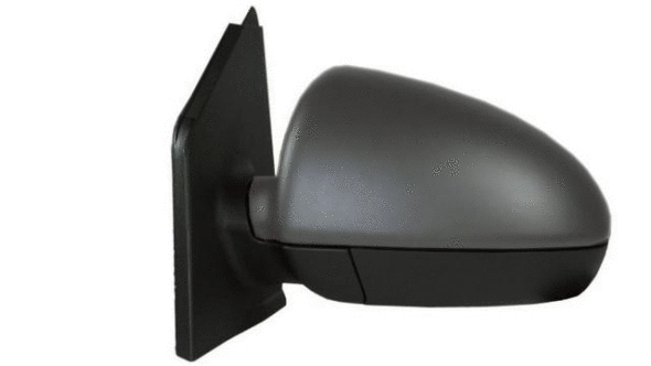 Exterior Mirror (27307001)