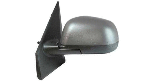 Exterior Mirror (24389001)