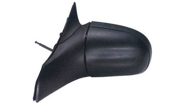 Exterior Mirror (24531211)
