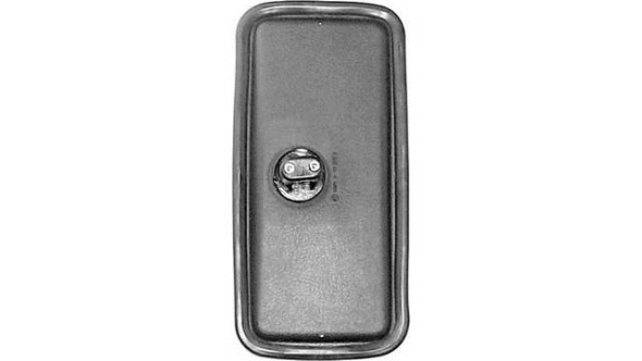 Exterior Mirror, driver cab (51929019)