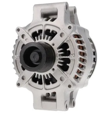 Alternator (AEG1396)