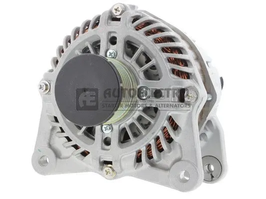 Alternator (AEG1486)