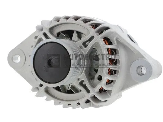 Alternator (AEG1496)