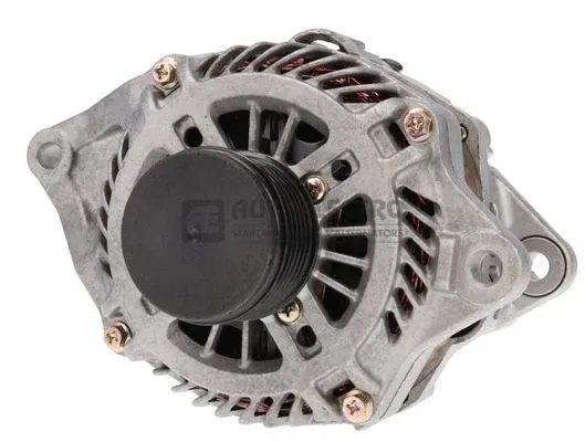Alternator (AEC2013)