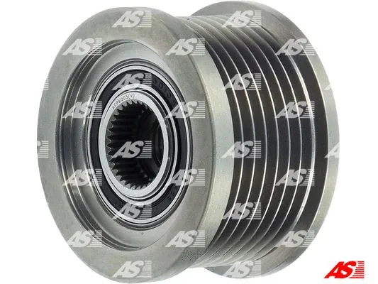 Alternator Freewheel Clutch (AFP6005(V))