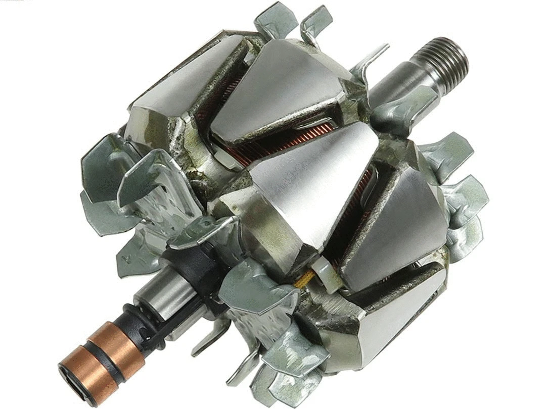 Rotor, alternator (AR0018)