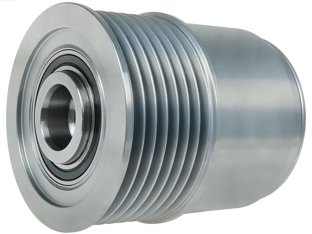 Alternator Freewheel Clutch (AFP0128S)