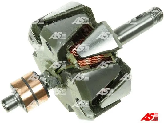 Rotor, alternator (AR0001)