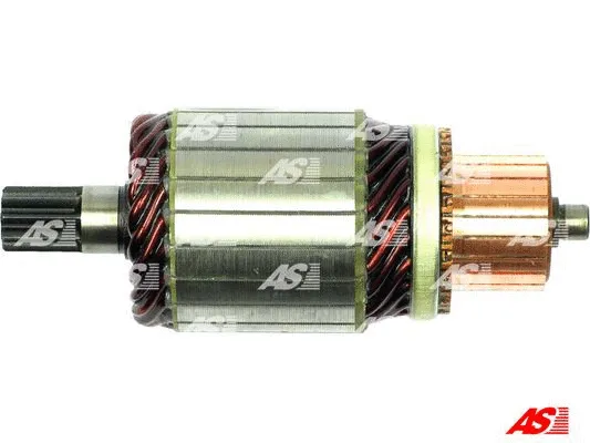 Armature, starter (SA6011)