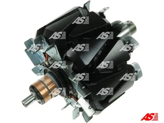 Rotor, alternator (AR5041S)