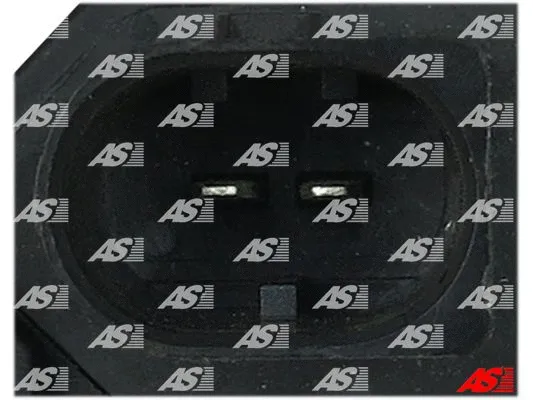 Alternator Regulator