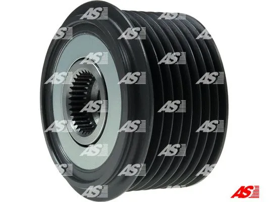 Alternator Freewheel Clutch (AFP0046)