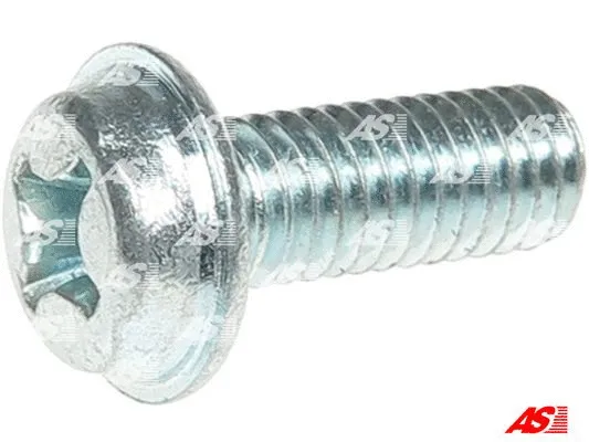 Repair Set, alternator (SRS0198S)