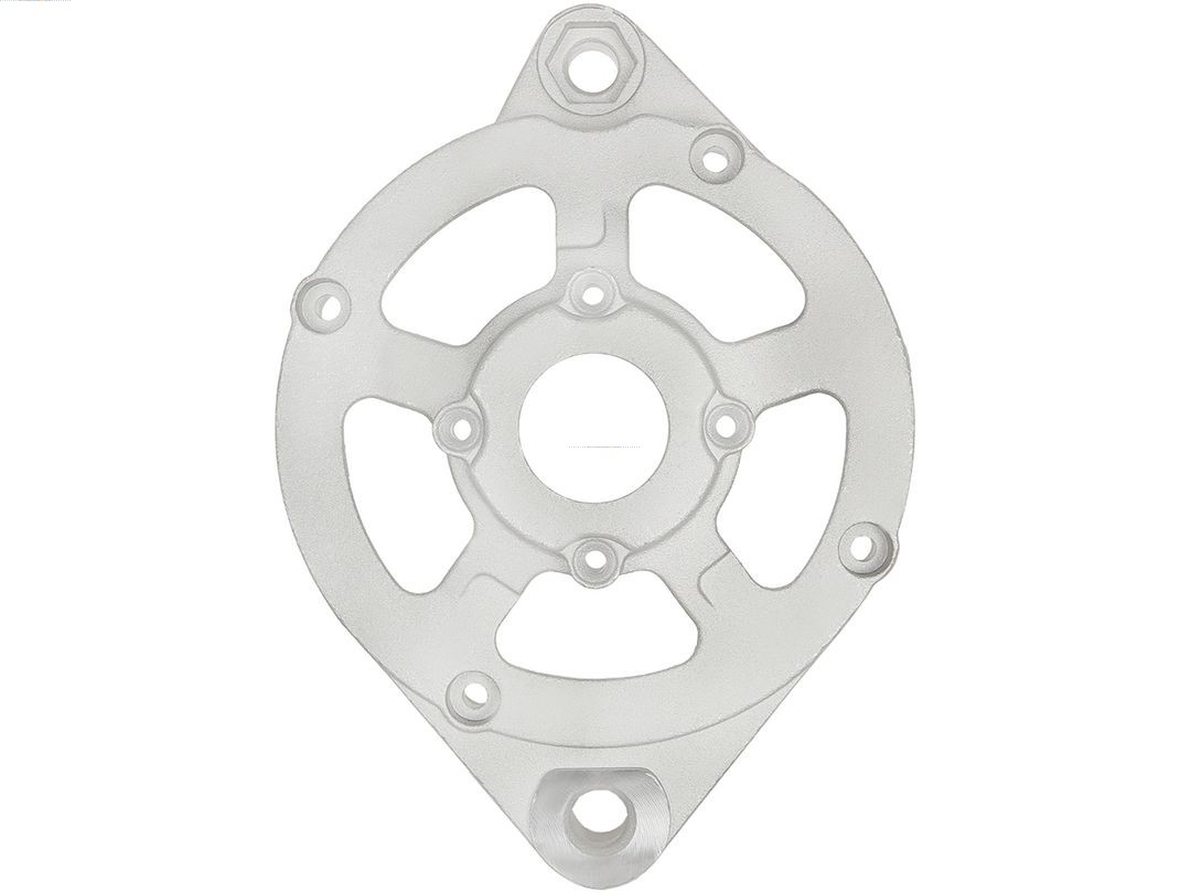 Bracket, alternator drive flange (ABR0187S)