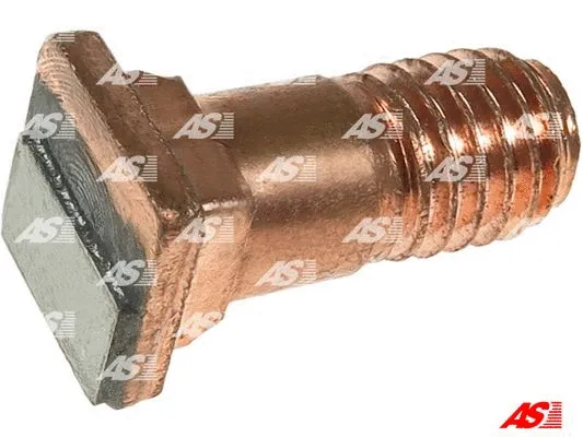 Repair Kit, starter (SP1011S)